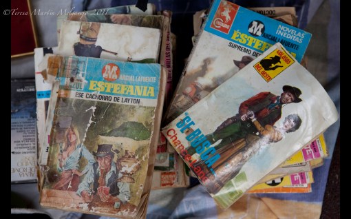 Fragmentos de una vida.....momentos de lectura....