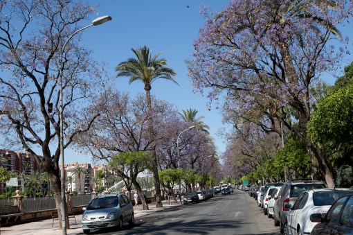 Vistabella.2014.TeresaMartin003