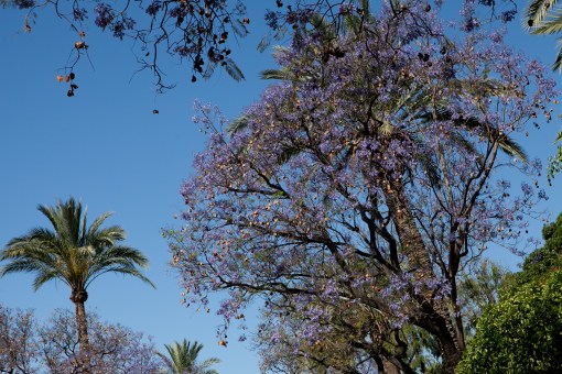 Vistabella.2014.TeresaMartin004