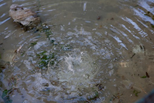 Vistabella.2014.TeresaMartin006