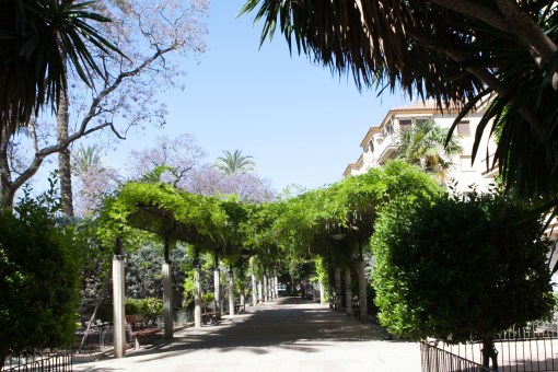 Vistabella.2014.TeresaMartin008