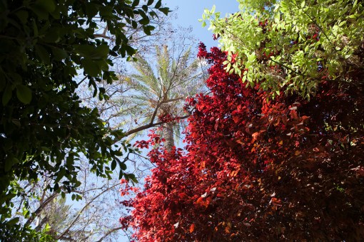 Vistabella.2014.TeresaMartin012