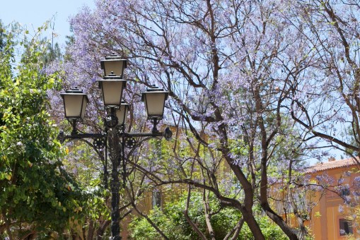 Vistabella.2014.TeresaMartin048