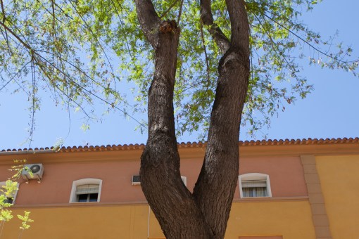 Vistabella.2014.TeresaMartin073